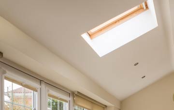 Pachesham Park conservatory roof insulation companies